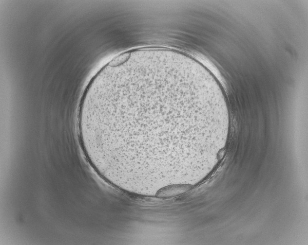 X0000115301485200912141106