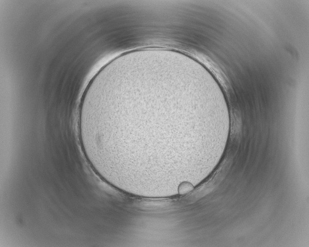 X0000115301486200912141106