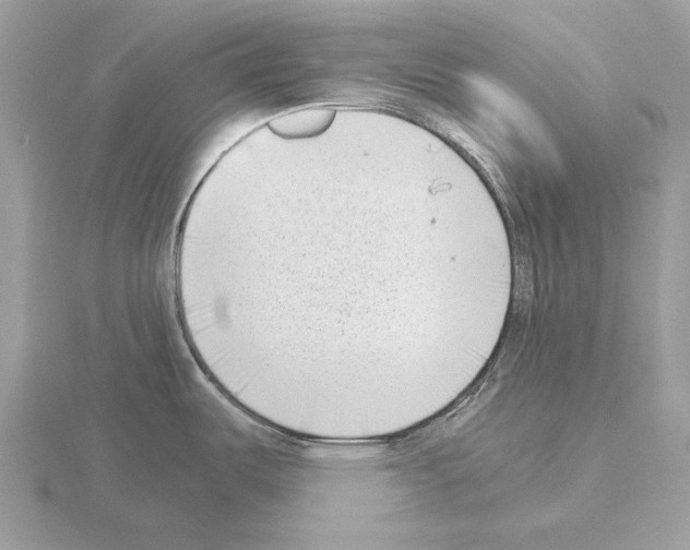 X0000115301487200912141106