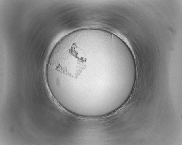 X0000115301488200912141106