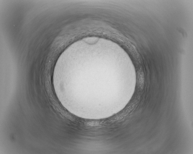 X0000115301489200912141105