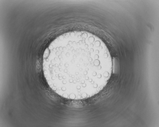 X0000115301491200912141105