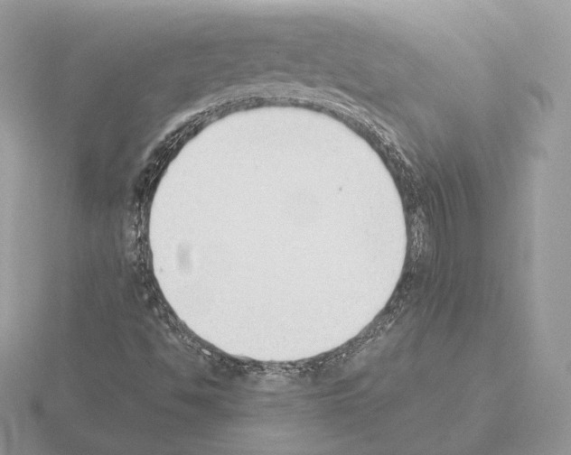 X0000115301494200912141105