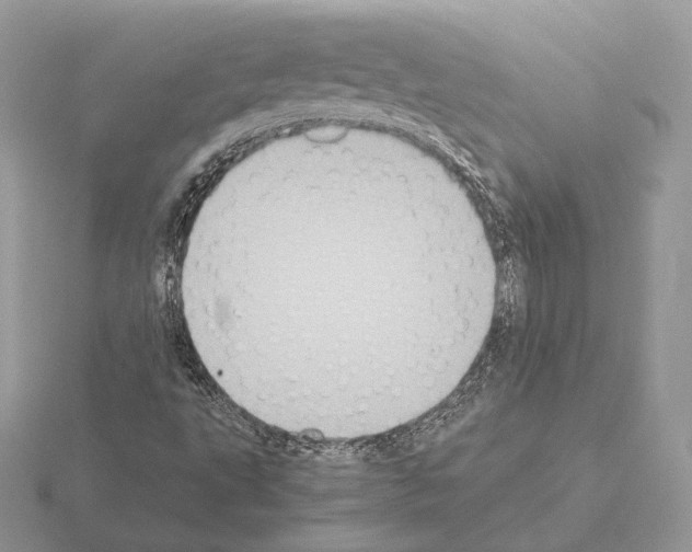 X0000115301495200912141105