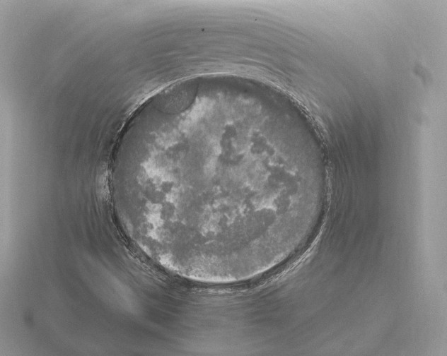 X0000115301497200912141105