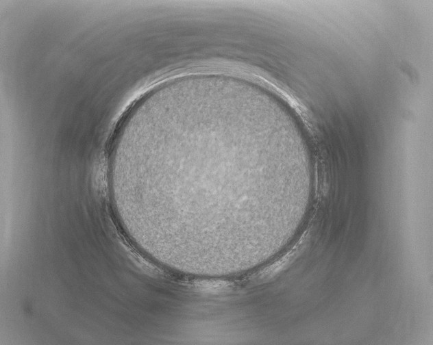 X0000115301498200912141105