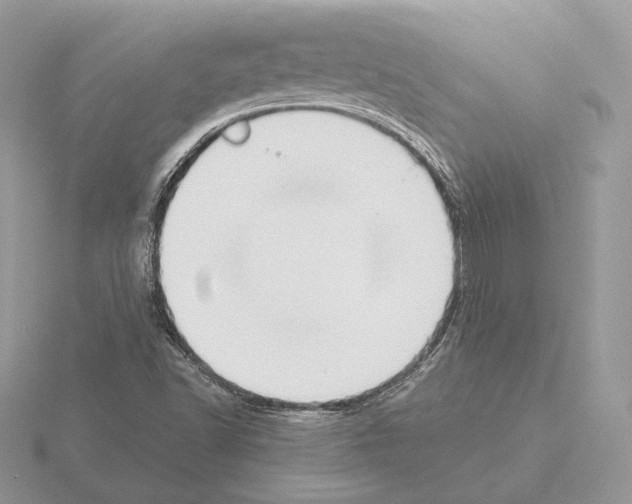 X0000115301502200912141106