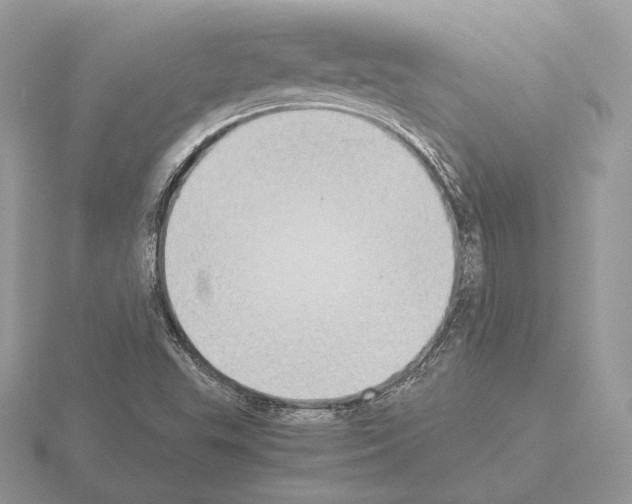 X0000115301503200912141106