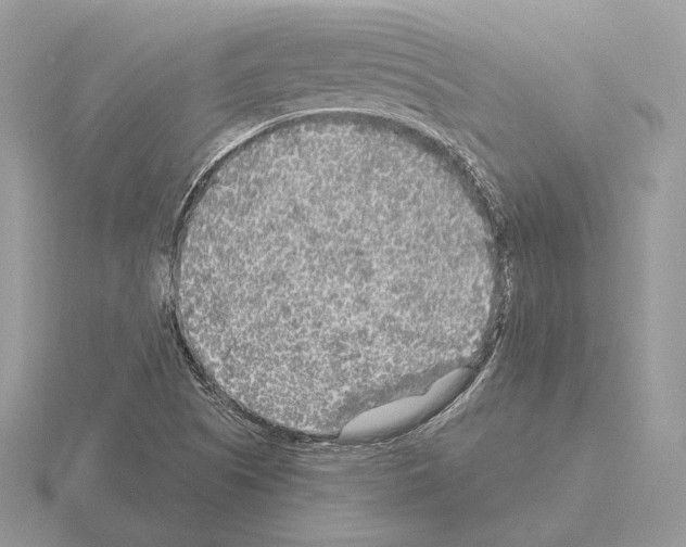 X0000115301505200912141106