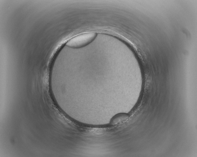 X0000115301506200912141106