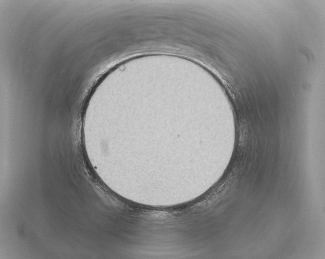 X0000115301507200912141106