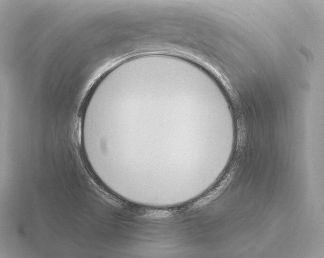 X0000115301509200912141106