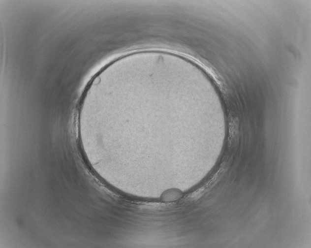 X0000115301510200912141106