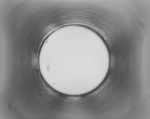 X0000115301513200912141106