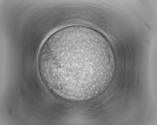 X0000115301514200912141106