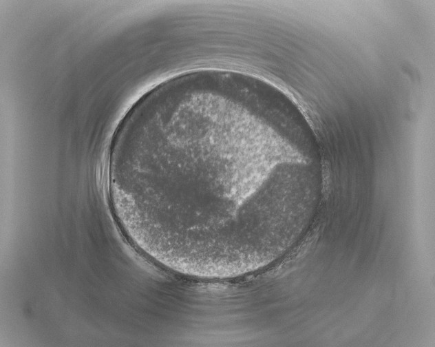 X0000115301515200912141106