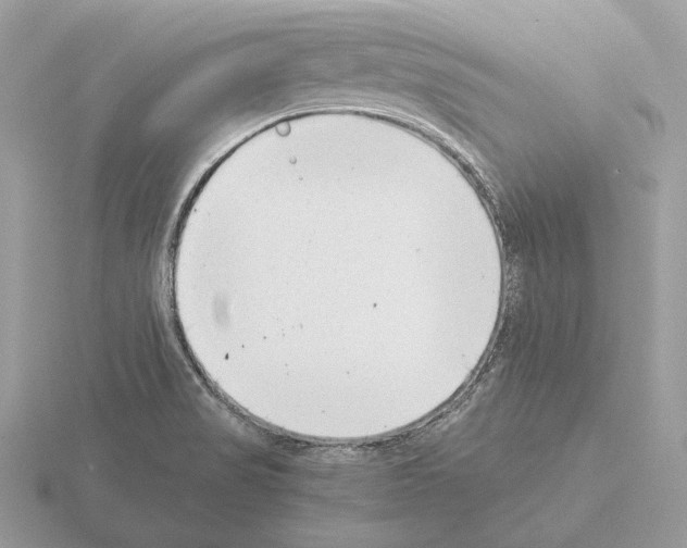 X0000115301517200912141106