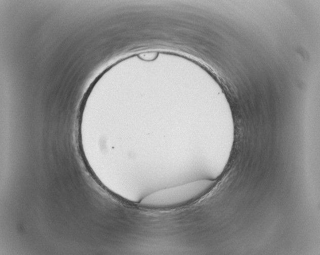 X0000115301518200912141106