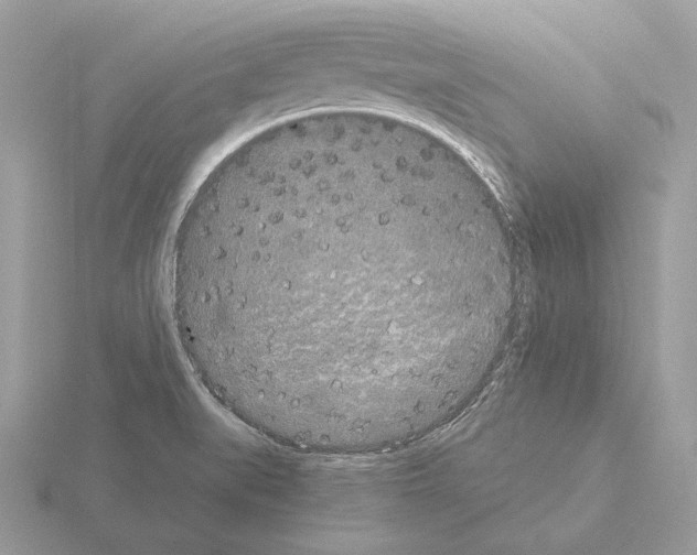 X0000115301519200912141106