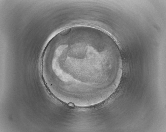 X0000115301522200912141106