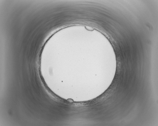 X0000115301523200912141106