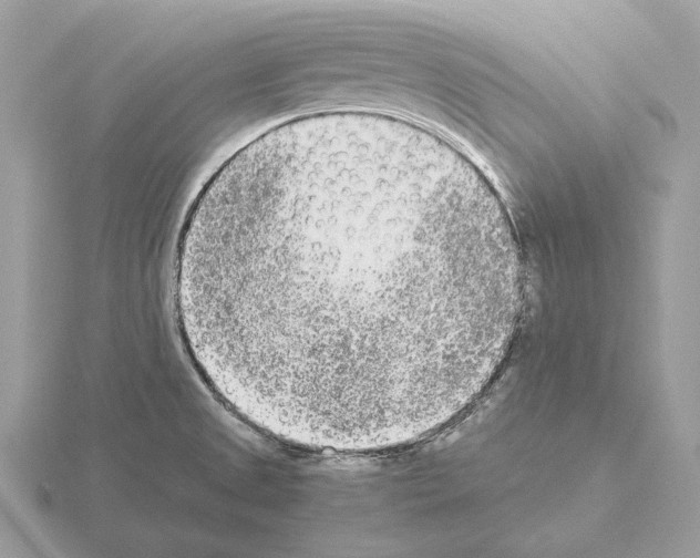 X0000115301525200912141106