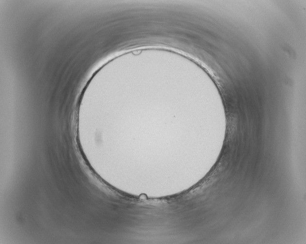 X0000115301526200912141106