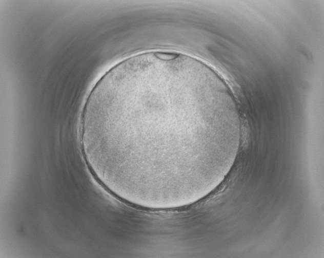 X0000115301527200912141106