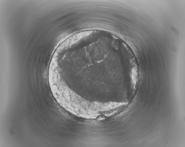 X0000115301529200912141106