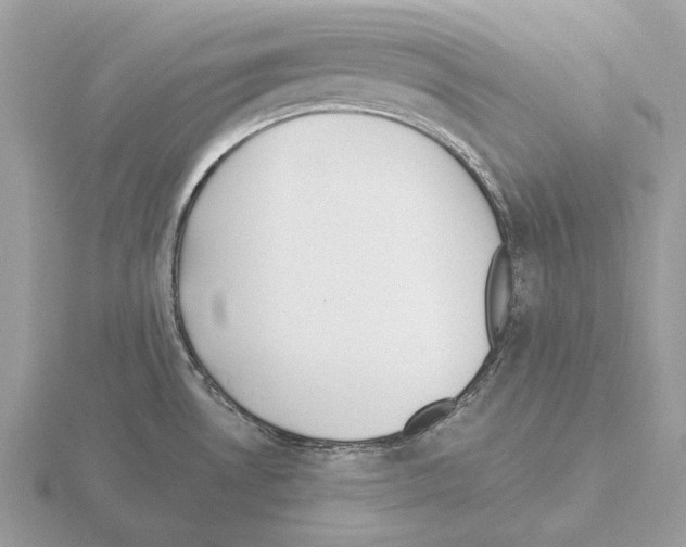 X0000115301530200912141106