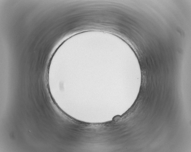 X0000115301531200912141106