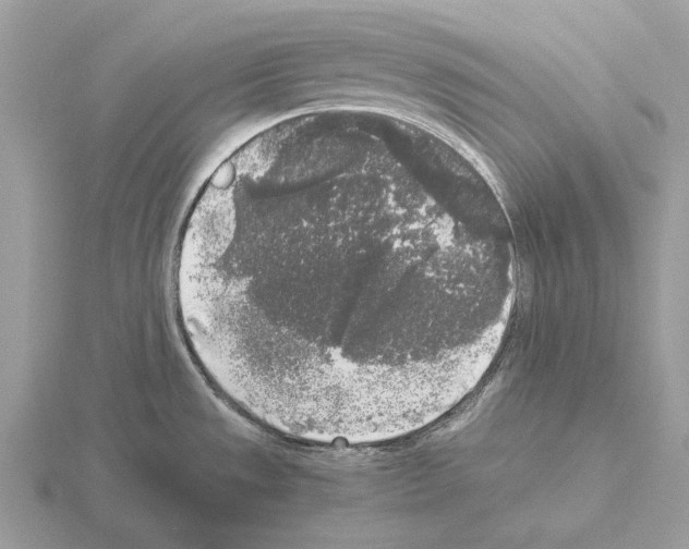 X0000115301533200912141106