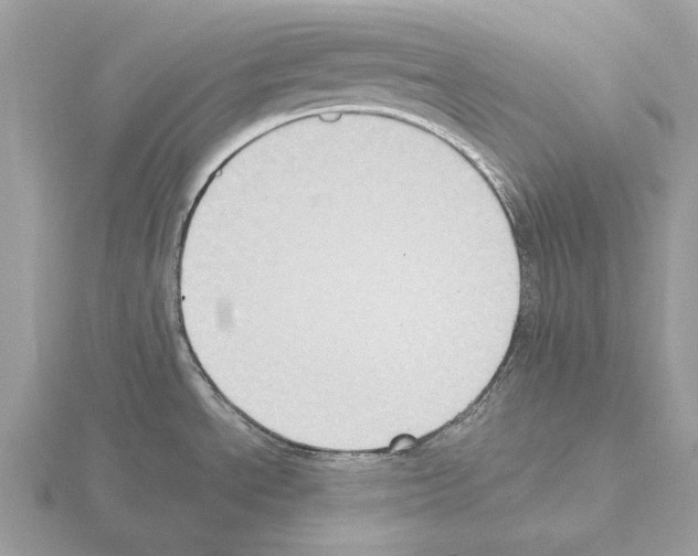 X0000115301534200912141106