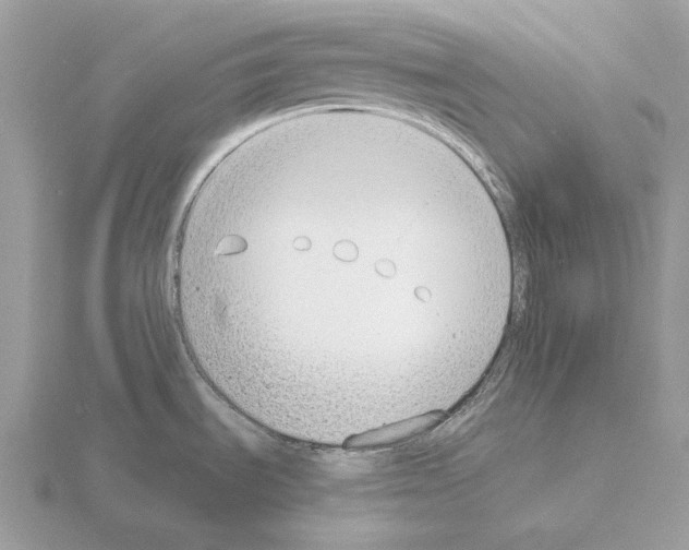 X0000115301535200912141106