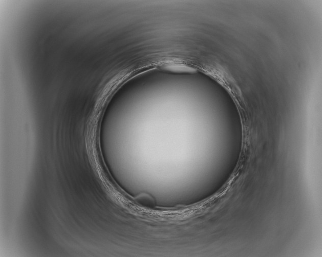 X0000115310001200911091146