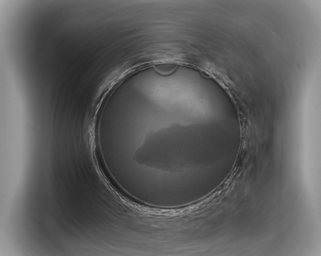 X0000115310002200911091146