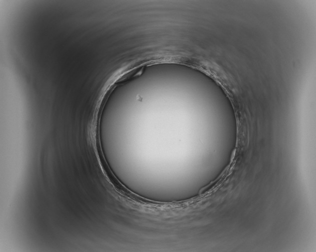 X0000115310003200911091146