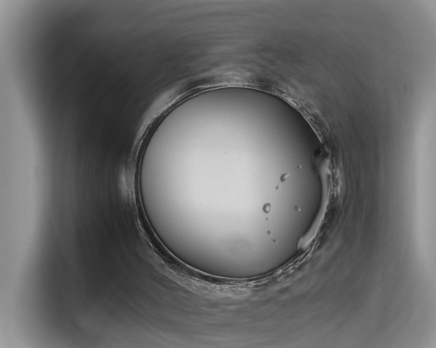 X0000115310004200911091146