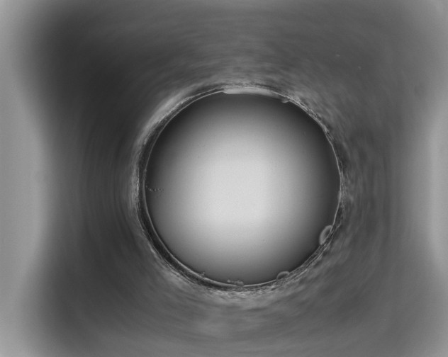 X0000115310005200911091146