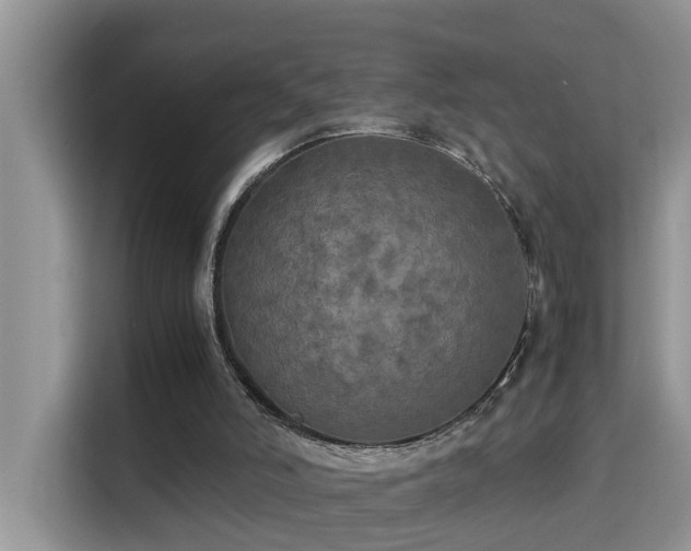 X0000115310006200911091146