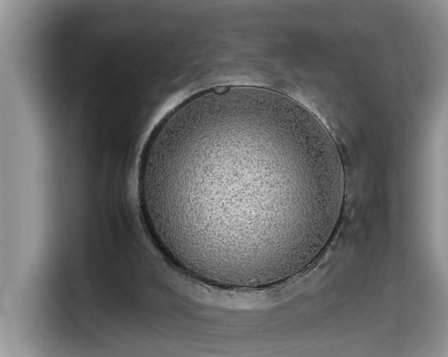 X0000115310008200911091146