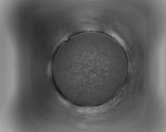 X0000115310009200911091146