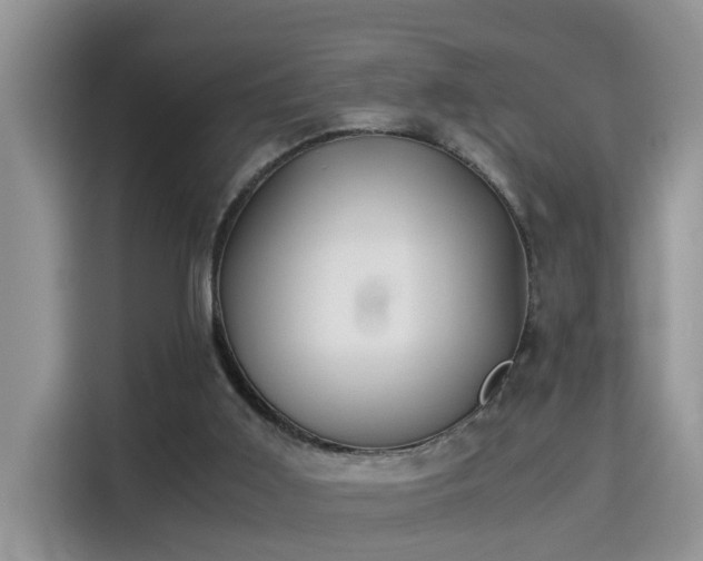 X0000115310011200911091146