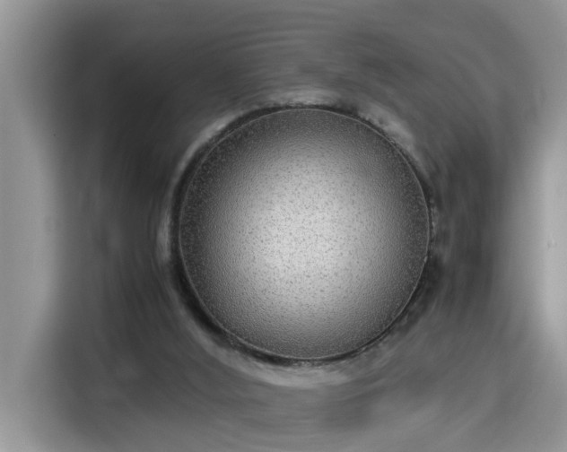 X0000115310012200911091146