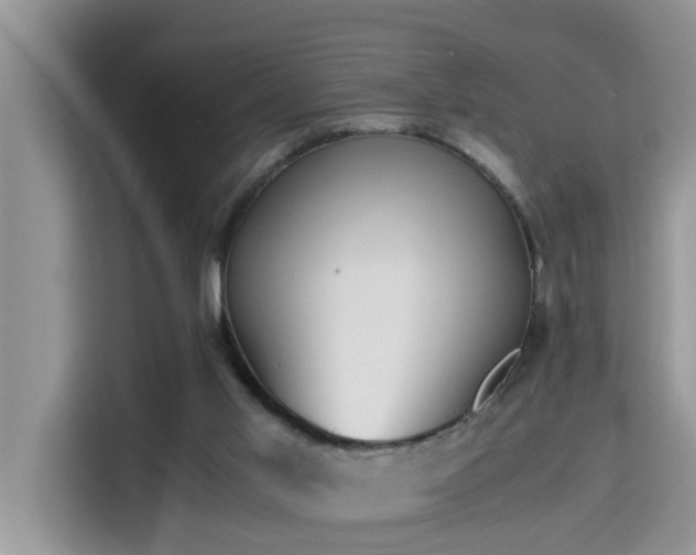 X0000115310013200911091146