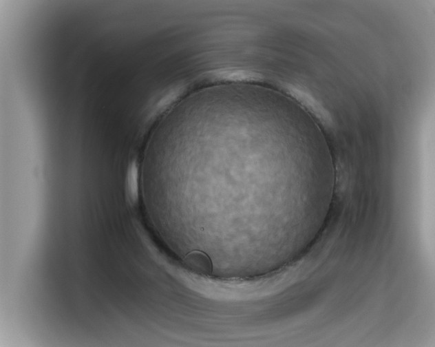 X0000115310014200911091146