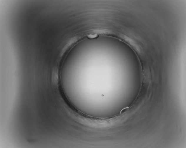 X0000115310015200911091146