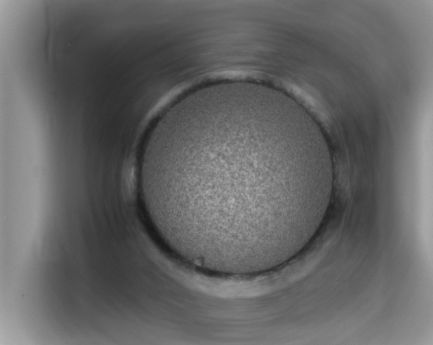 X0000115310016200911091146