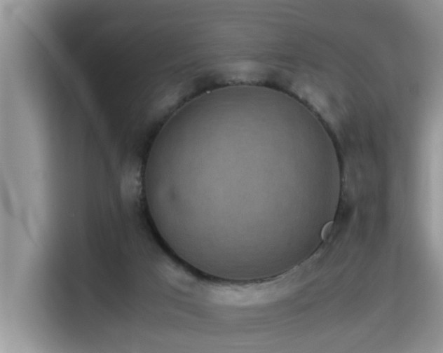 X0000115310017200911091146