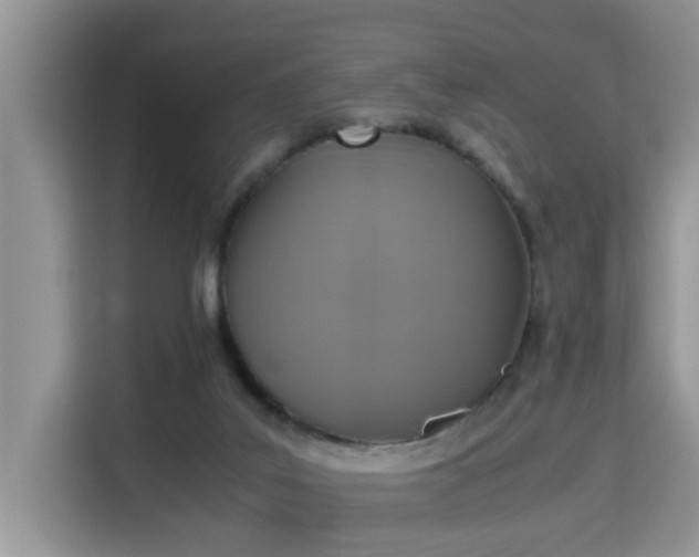 X0000115310019200911091146